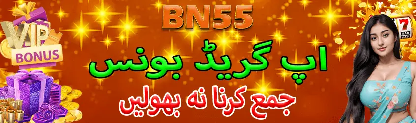 BN55