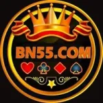 BN55