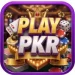 Playpkr Game